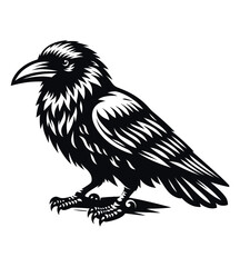 Crow silhouette vector illustrations