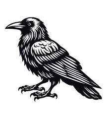 Crow silhouette vector illustrations