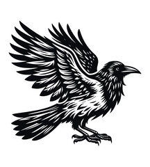 Crow silhouette vector illustrations