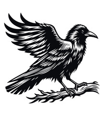 Crow silhouette vector illustrations