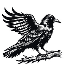 Crow silhouette vector illustrations