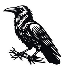 Crow silhouette vector illustrations
