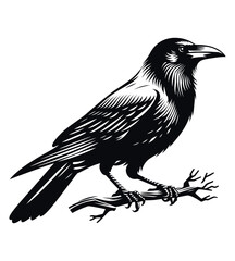 Crow silhouette vector illustrations