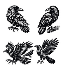 Crow silhouette vector illustrations