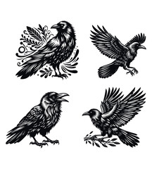 Crow silhouette vector illustrations