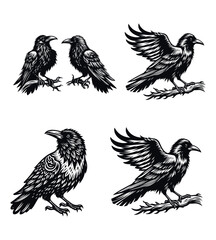 Crow silhouette vector illustrations