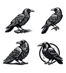 Crow silhouette vector illustrations