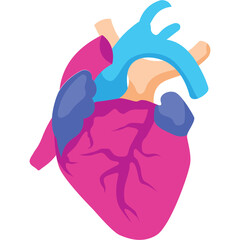 Heart Illustration