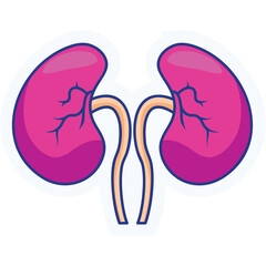 Kidney Sticker