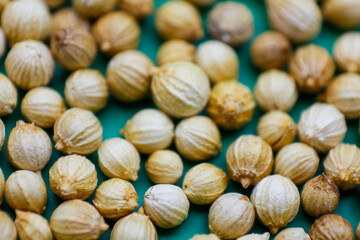 Cleaned dried Coriander (Dhaniya) seeds background texture, pattern. Pile of Dried Coriander grains, kernels. Flat lay. Food concept background. Raw dried coriander seed used as a spice in cooking.