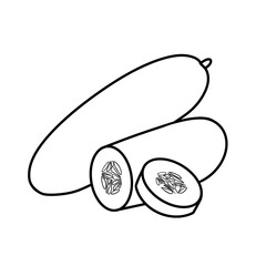 illustration of a cucumber