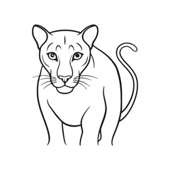 Panther line out vector style illustration.