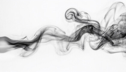 Fototapeta premium A abstract black and gray thick smoke like a cloudy on white background