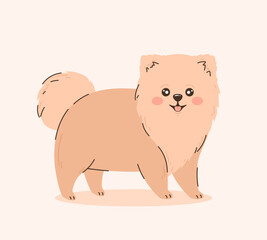 Cartoon Pomeranian dog. Flat vector illustration.