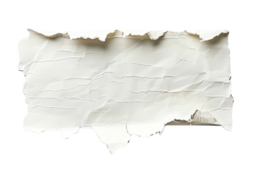 Transparent White Paper Texture - Torn, Creased, and Ripped for Background Design
