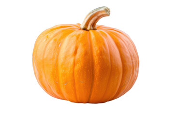 Obraz premium Transparent Pumpkin on Black Background