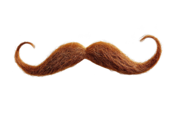 Transparent Brown Mustache - A Detailed Look at the Intricate Structure of a Human Mustache