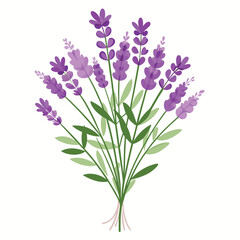 Fototapeta premium Floral Bunch with Lavender Vector Illustration on White Background