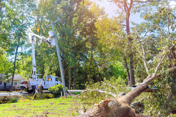 In aftermath of hurricane, emergency service lineman are diligently repairing power electrical lines of damage using utility tower truck