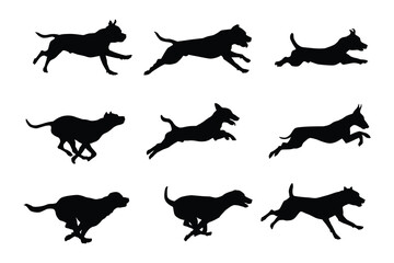 Silhouette of a running dog