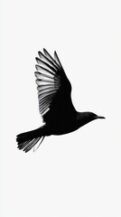 Obraz premium Serene Bird Silhouette Soaring in Minimalist White Sky - Peaceful Nature Concept with Soft Colors and Clean Lines