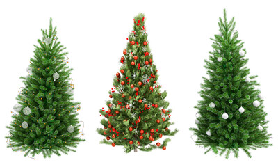 christmas tree isolated on white