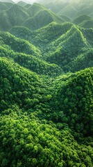 Aerial view of lush green forest hills