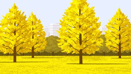 公園　イチョウの木  背景ビル