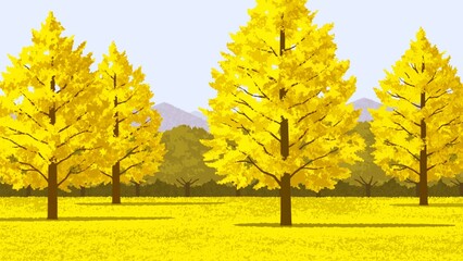 公園　イチョウの木  背景山