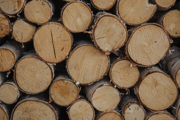 Fototapeta premium Stacked logs arranged neatly in a rustic setting during daylight hours
