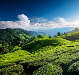 Kodaikanal Panorama 