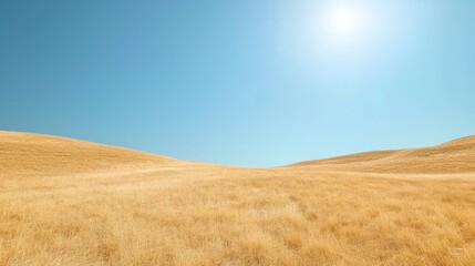 Serene Beauty of Golden Fields: Picturesque Countryside Landscape with Clear Blue Sky