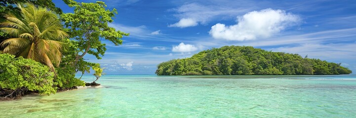 A tropical island with a lush green forest, surrounded by crystal clear turquoise waters