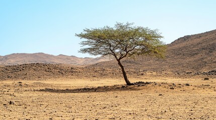 A solitary abstract tree of hope in the desert, its branches reaching toward the sky, standing in stark contrast to the arid, sandy surroundings