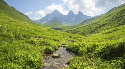 Naklejka premium Majestic Mountain Range: Lush Valleys and Clear Streams