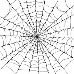 Fototapeta premium Isolated spider web