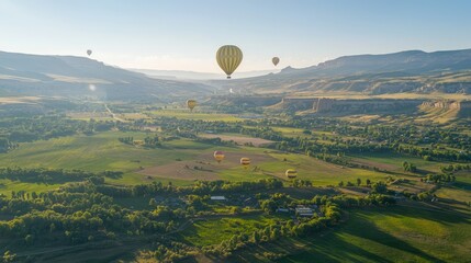 Naklejka premium Majestic Hot Air Balloon Festival: Colorful Balloons Soaring Over Scenic Rural Landscape