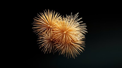 Obraz premium Colorful burst of fireworks creating a stunning display in a dark sky.