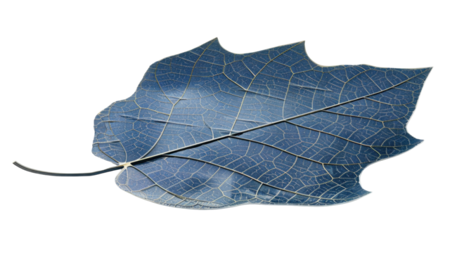 Solar panel shaped like a tree leaf on white background