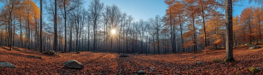 Fototapeta premium Dramatic landscape of a vibrant forest, tilted angle view showcasing natures beauty, environmental conservation theme