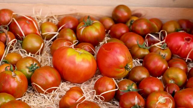 Tomatoes in a Wooden Crate