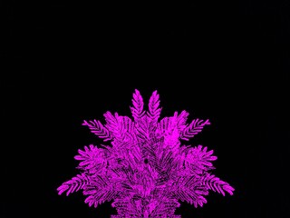 Abstract and bright fern-like pattern in a striking neon pink, on a deep black background.digital engineering photo.
