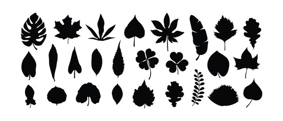 Fototapeta premium Leaf silhouette set, Leaves isolated on White Background