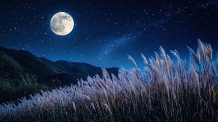 Fototapeta premium Full moon and Japanese pampas grass in midnight,The harvest Miscanthus sinensis and full moon,beautiful night sky in the countryside with the perfect moon exudes beauty in the dark.