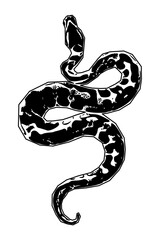 snake in the shape of a snake