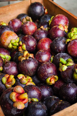 Mangosteen