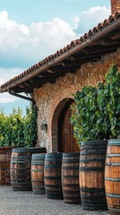 Charming vineyard scene with rustic wooden barrels and a stone building under a clear blue sky, ideal for wine-related themes.