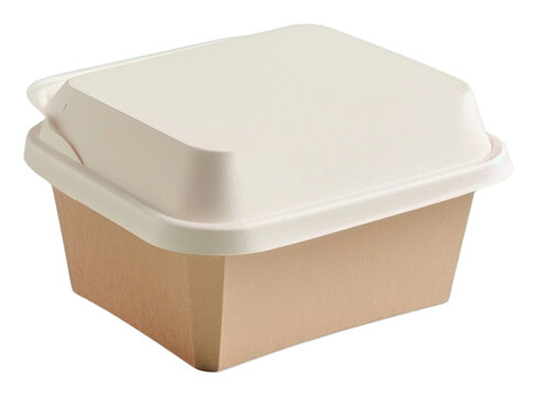 PNG Paper lunchbox mockup carton simplicity rectangle.