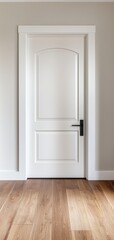 White interior door with modern design and wooden floor, on neutral wall.