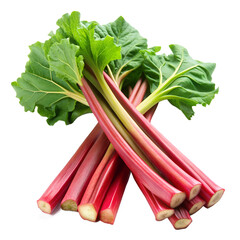 Rhubarb isolated on transparent background